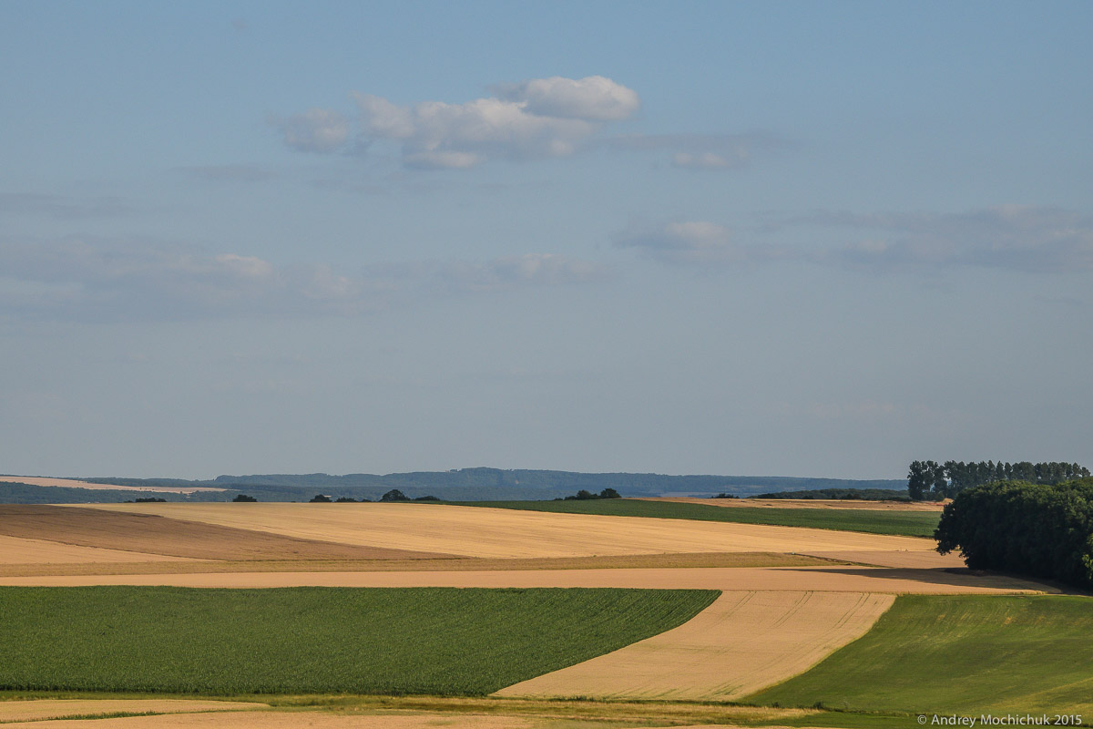 Огромные поля зерновых в Люксембурге
