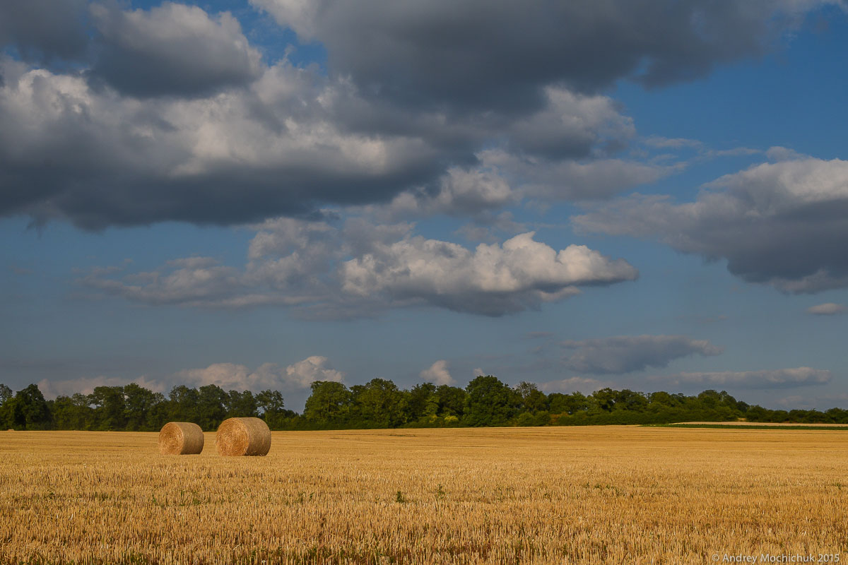 Цилиндры с сеном на полях Люксембурга