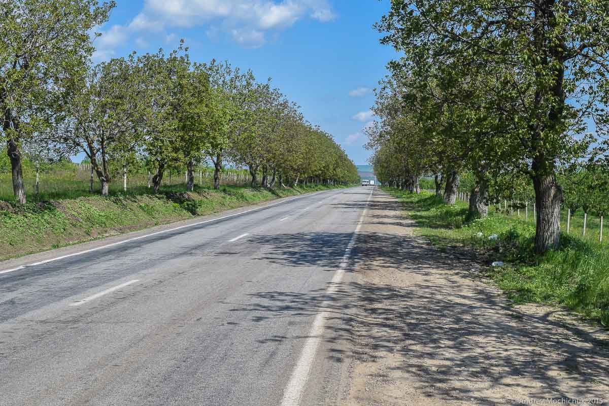 Дорога в Кишенев